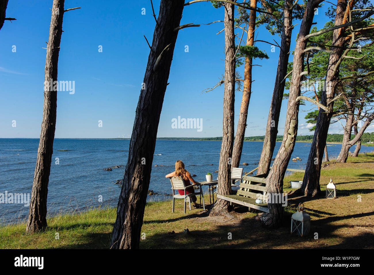 Donna al tavolo in legno di pino di seguito nella riserva naturale Ekstakusten, Schweden Foto Stock