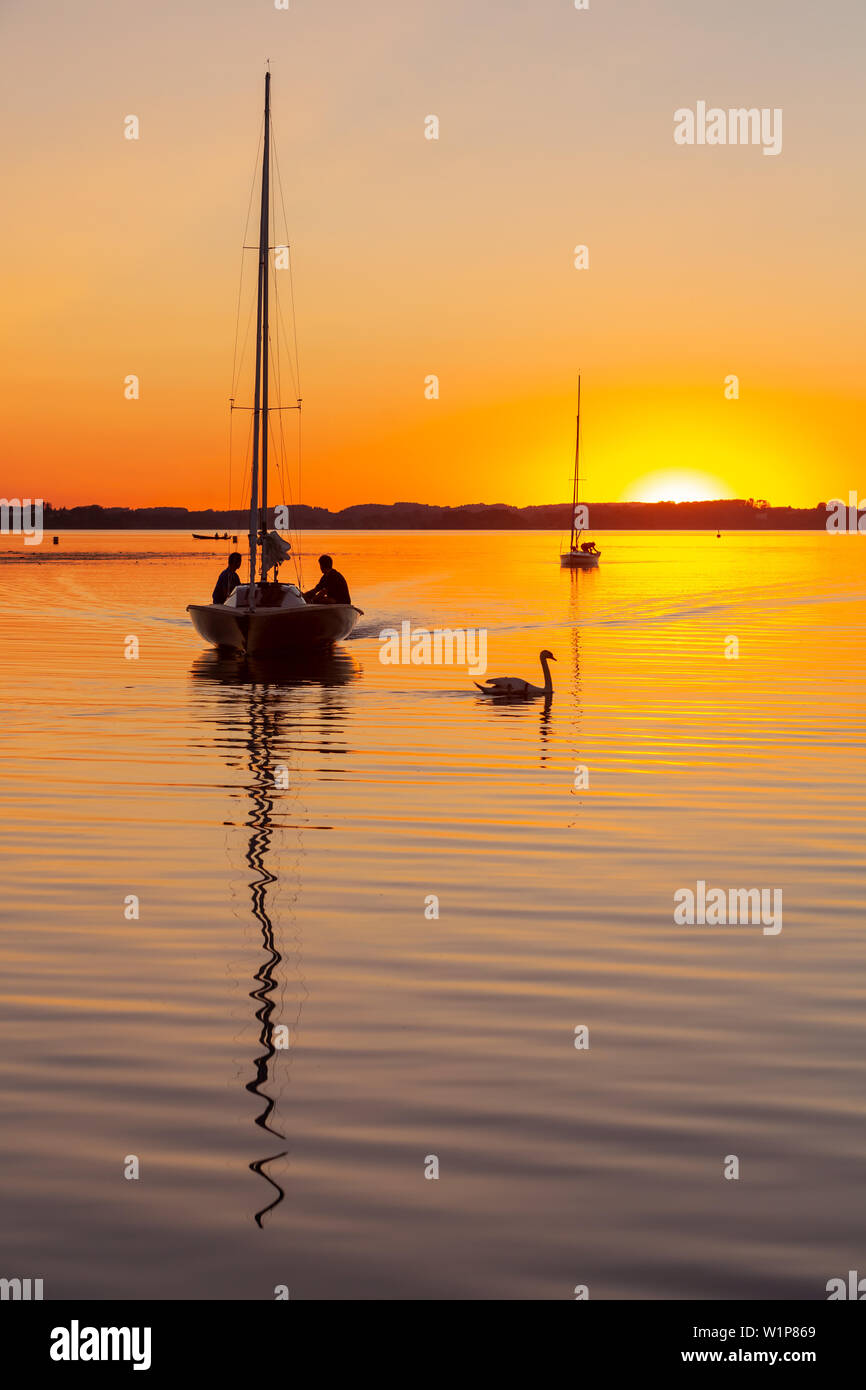 Barche a vela e swan nell'ultima luce della sera presso il Chiemsee, sullo sfondo le isole all'orizzonte Foto Stock
