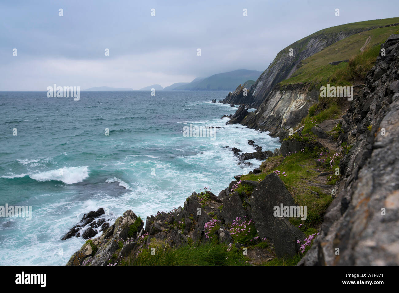 Affilati come coltelli sono le rocce alla base delle ripide scogliere di Capo Slea dove Oceano Atlantico onde infrangersi su di essi senza tregua, visto da mentre wa Foto Stock