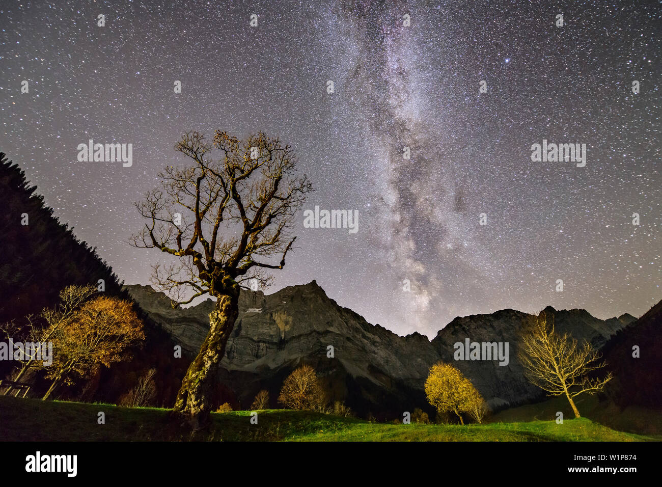 Nightsky con via lattea al di sopra di acero e gamma di Karwendel, Grosser Ahornboden, Eng, parco naturale Karwendel, gamma Karwendel, Tirolo, Austria Foto Stock