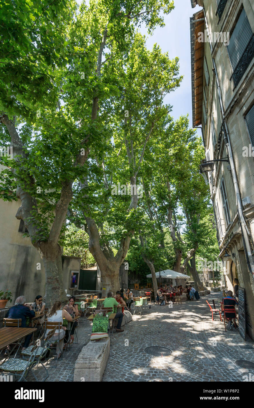 Rue des Teinturiers, Ristoranti, street cafe, Avignone, Provenza Foto Stock