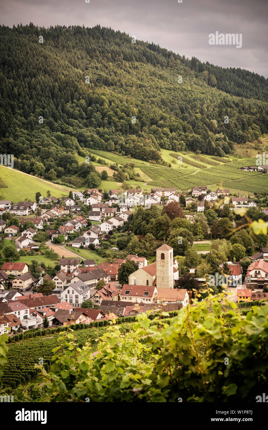 Vista sul vigneto presso il village Neuweier intorno al castello YBurg, Baden-Baden, Baden-Wuerttemberg, Germania Foto Stock