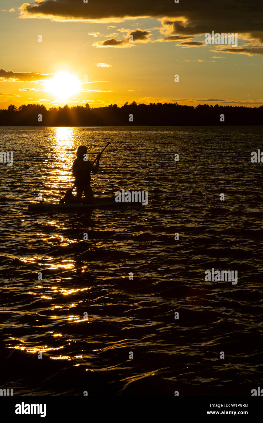 Silhouette di donna inginocchiato a paddle board e canottaggio nel tramonto. Fiume Ottawa Petawawa Ontario in Canada. Foto Stock