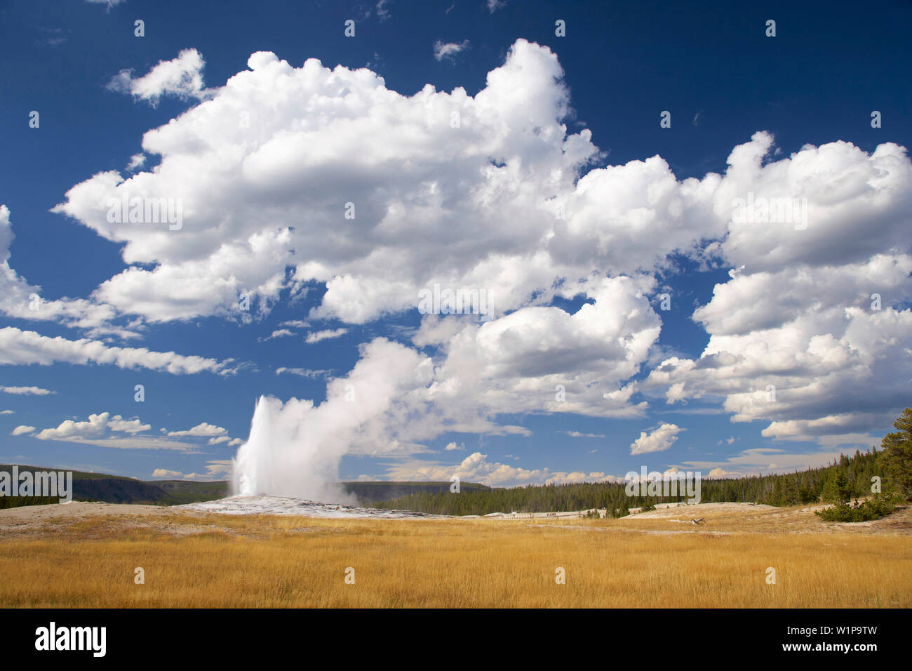 Upper Geyser Basin , attività di geyser Old Faithful , il Parco Nazionale di Yellowstone , Wyoming , U.S.A. , America Foto Stock