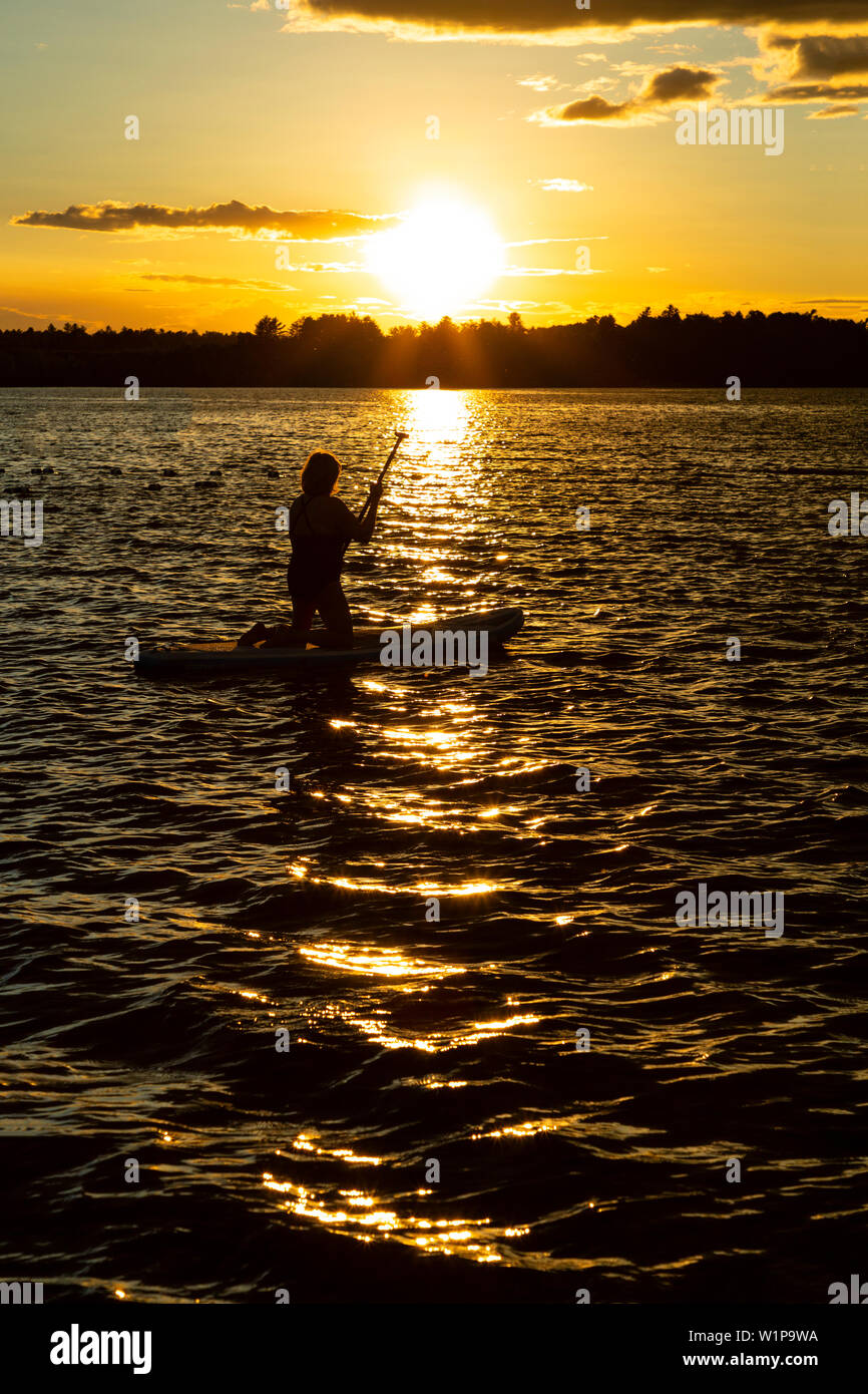 Silhouette di donna inginocchiato a paddle board e canottaggio nel tramonto. Fiume Ottawa Petawawa Ontario in Canada. Foto Stock