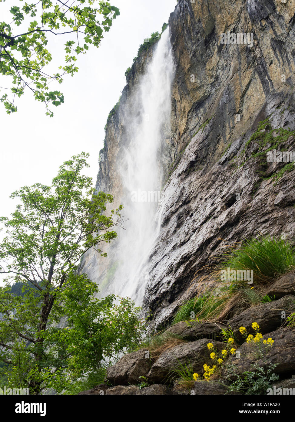 Staubachfall cascata, Valle di Lauterbrunnen, Svizzera, Europa Foto Stock