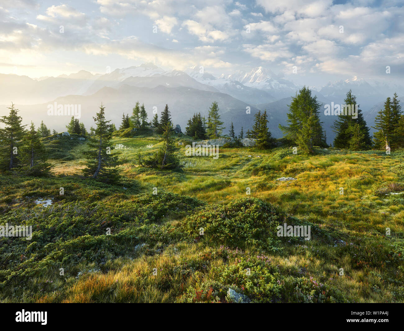 Émosson, Wallis, Schweiz (Vordergrund), Aiguille Verte, Haute-Savoie, Frankreich (Hintergrund) Foto Stock
