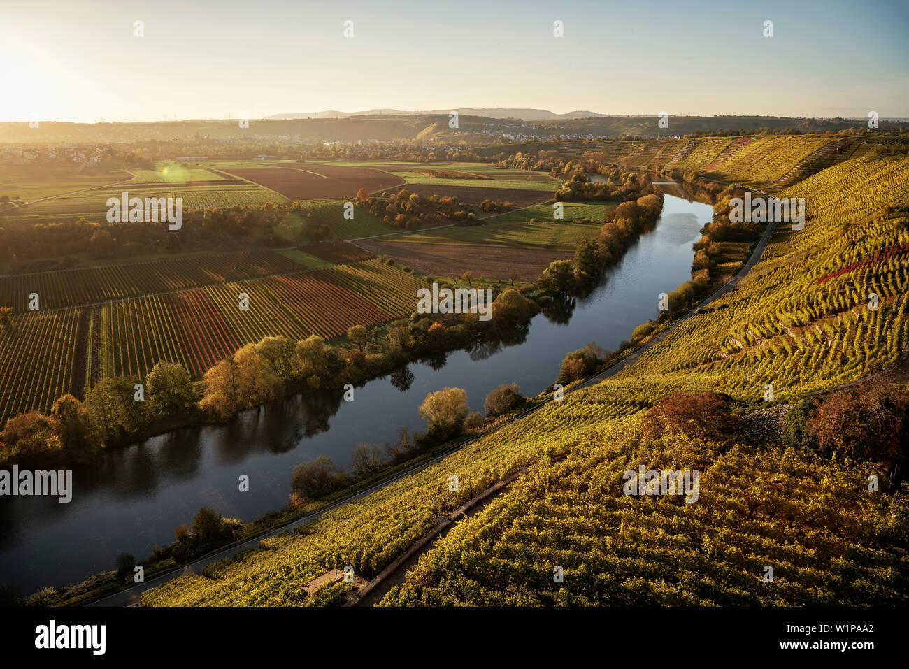 Il fiume Neckar sneaks il suo modo lungo la salita e la regione vinicola di Hessigheim, Ludwigsburg distretto, Baden-Wuerttemberg, Germania Foto Stock