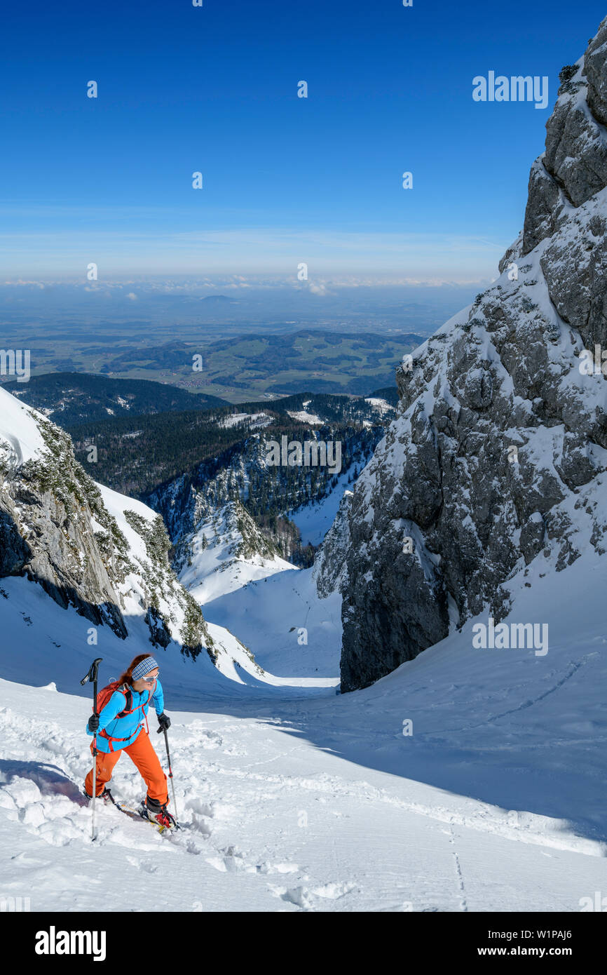 Donna backcountry-sci salendo attraverso il cirque verso Zwiesel, Zwiesel, Chiemgau Alpi, Chiemgau, Alta Baviera, Baviera, Germania Foto Stock