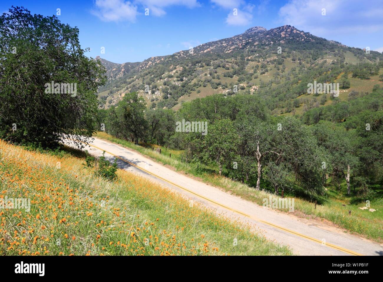 California strada rurale nel paesaggio di campagna del Tulare County. Foto Stock