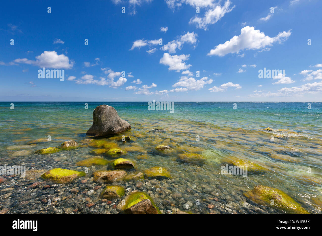 Spiaggia a Chalk rocks, Jasmund National Park, Ruegen, Mar Baltico, Meclemburgo-Pomerania Occidentale, Germania Foto Stock