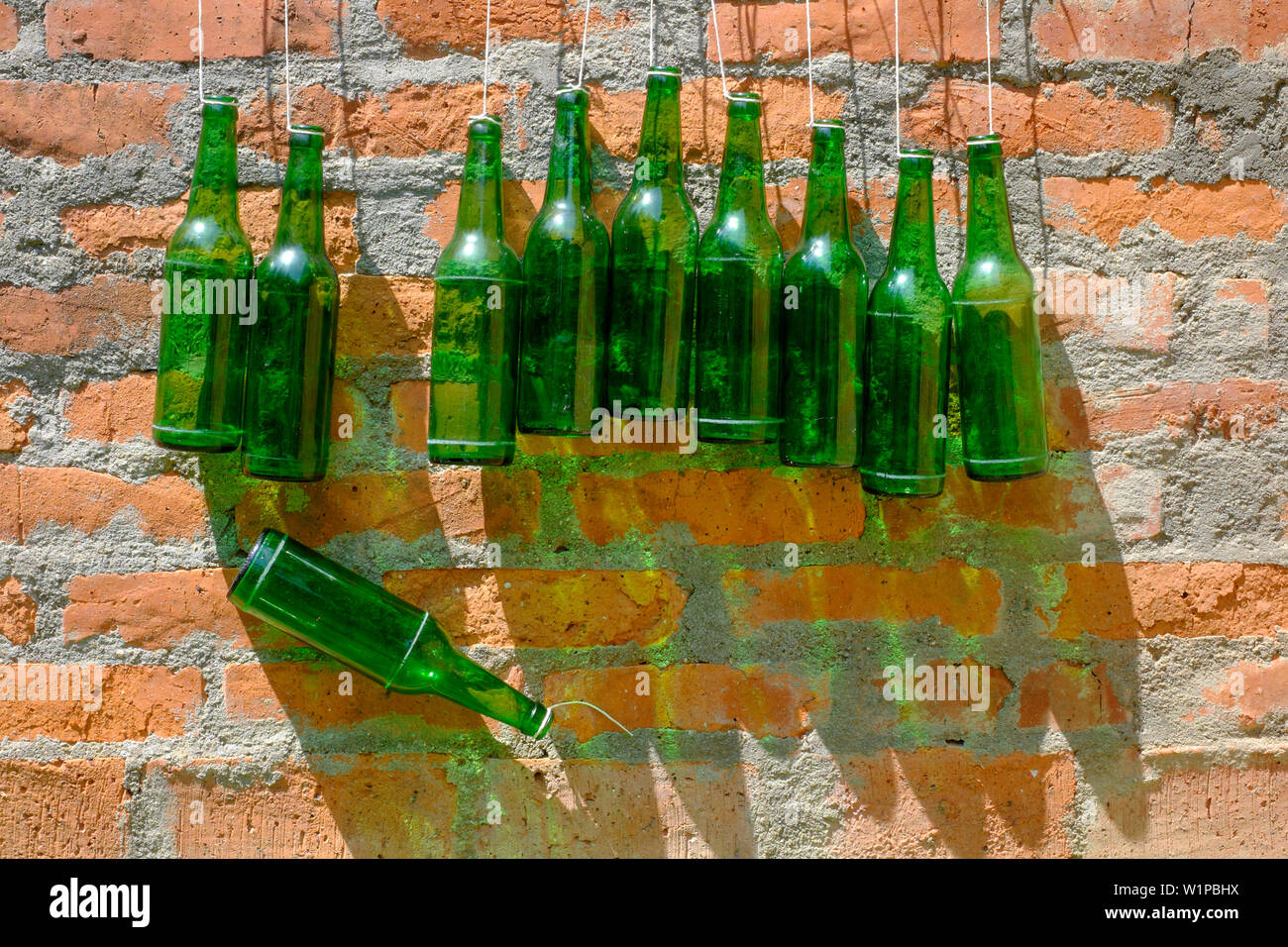 Dieci bottiglie verdi appeso a una parete con una caduta di Zala county Ungheria Foto Stock