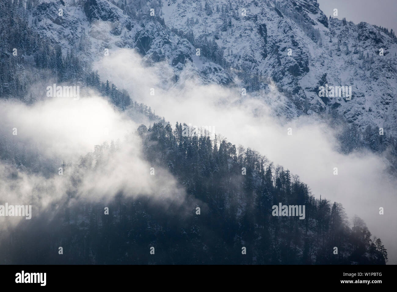 Nebbia di salita in montagna, inverno, Alta Baviera, Alpi, Germania, Europa Foto Stock