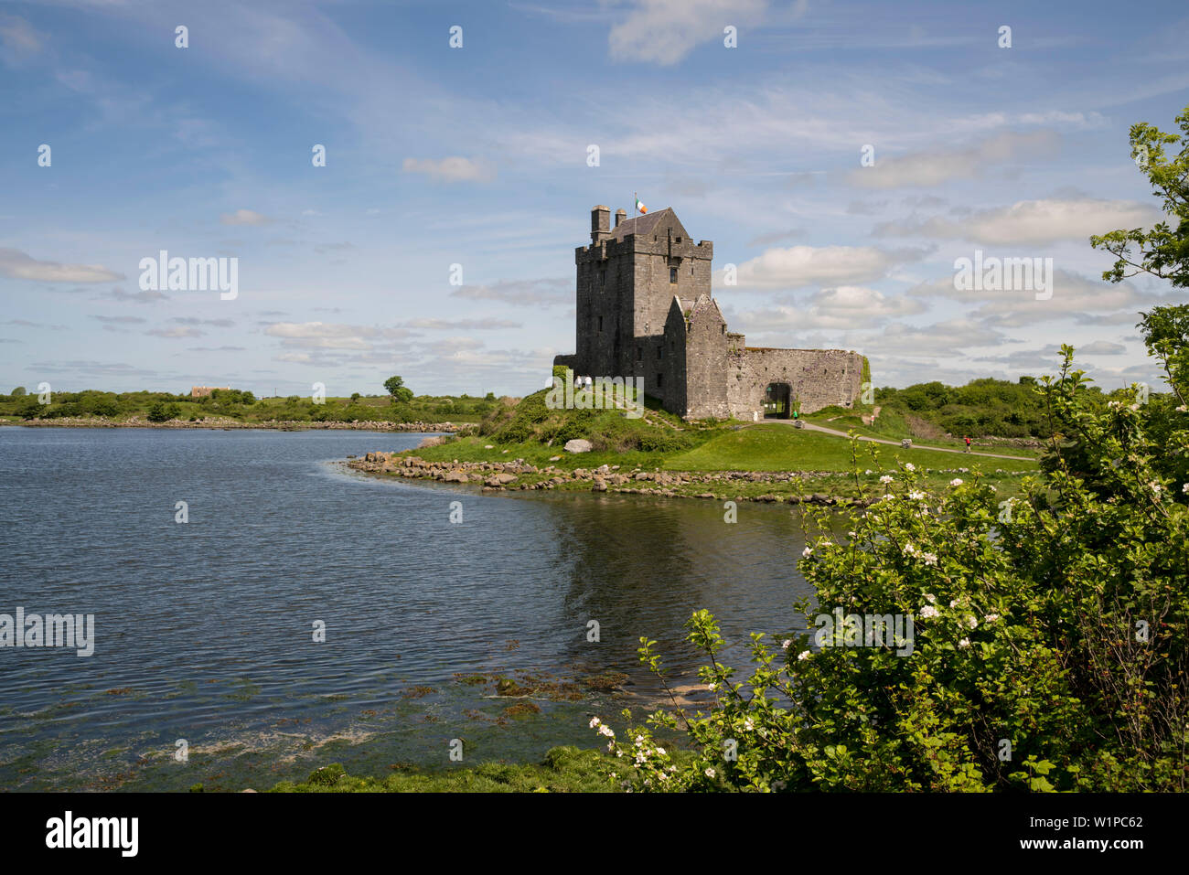 Le rovine di Dunguaire Castle si trova proprio sul bordo di una baia nell'Oceano Atlantico, vicino a Kinvara, nella contea di Galway, Irlanda, Europa Foto Stock