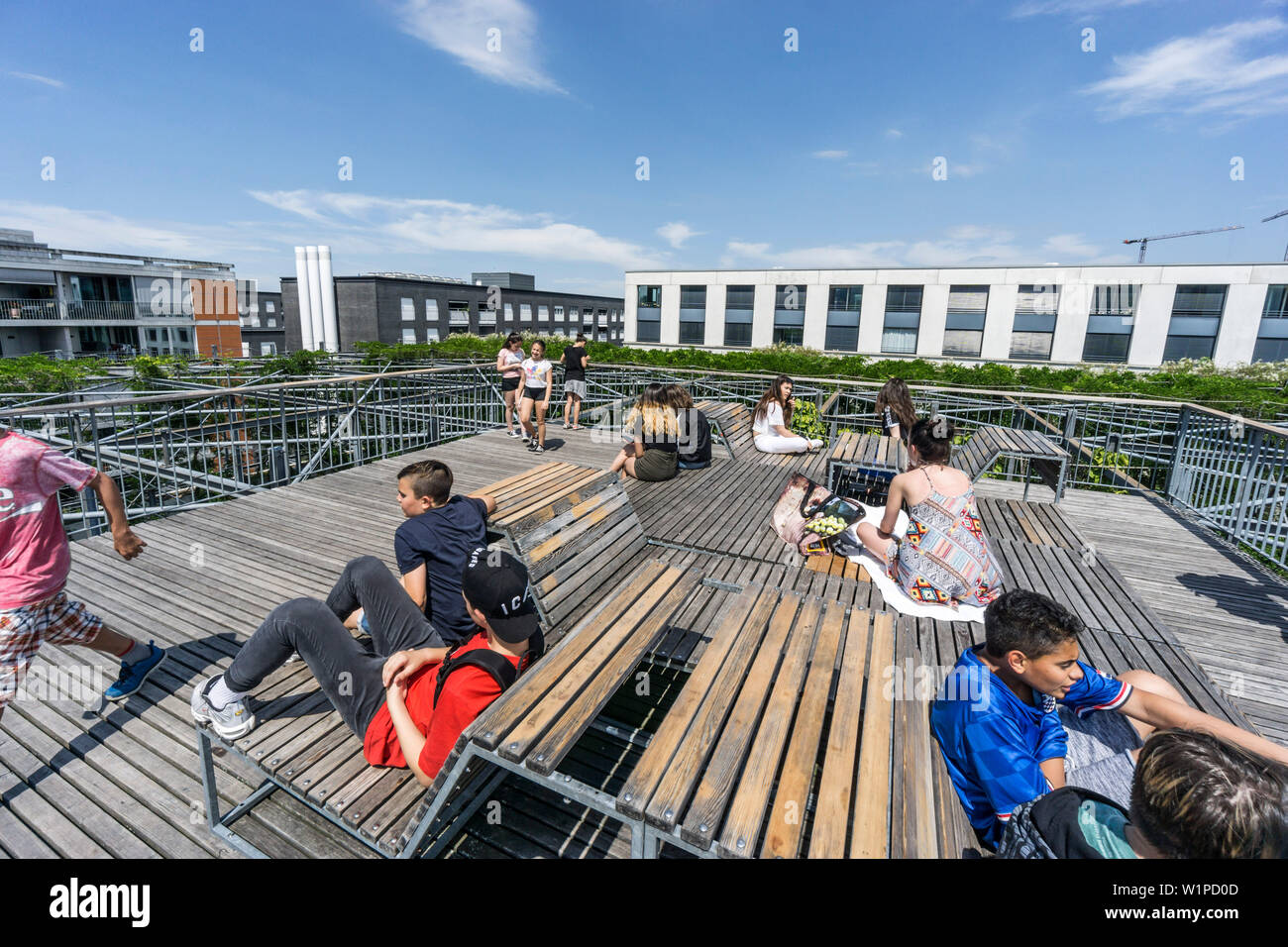 MFO Park, sun deck, parco pubblico di ex Maschinenfabrik Oerlikon (MFO) , piante rampicanti, telaio in acciaio, Zurigo, Svizzera Foto Stock