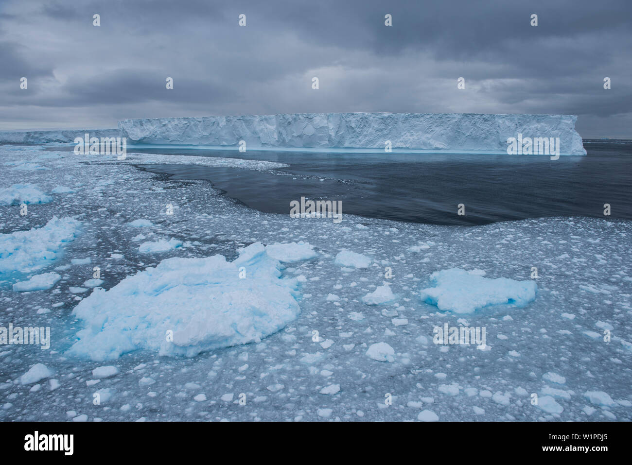 Un filamento di grandi iceberg sorge nella baia, circondata da insolente ghiaccio, Wilhelmina Bay, Penisola Antartica, Antartide Foto Stock