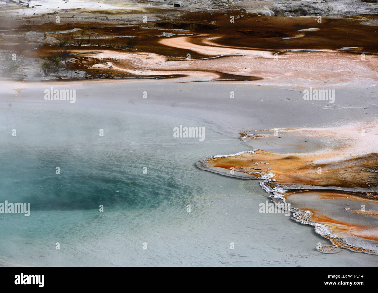 Hot Springs Orakei Korako, Isola del nord, Nuova Zelanda Foto Stock