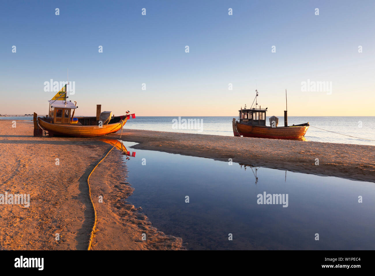 Fresa di pesce sulla spiaggia, Ahlbeck, Usedom, Mar Baltico, Meclemburgo-Pomerania Occidentale, Germania Foto Stock