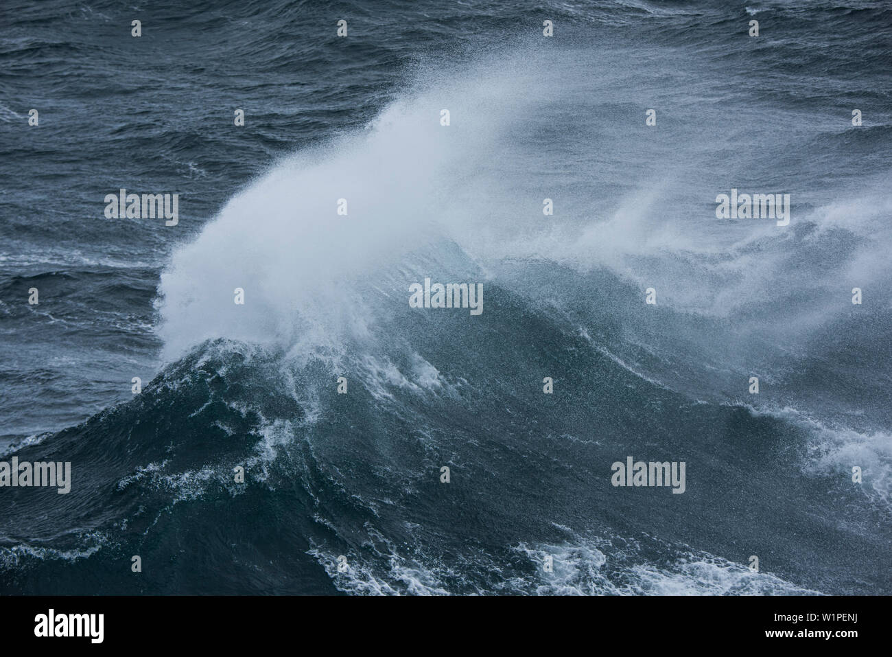 Un'onda rompe in mare durante i forti venti e mare mosso, creando una nuvola di spray sopra l'onda in mare, vicino Isola Georgia del Sud, Antartide Foto Stock
