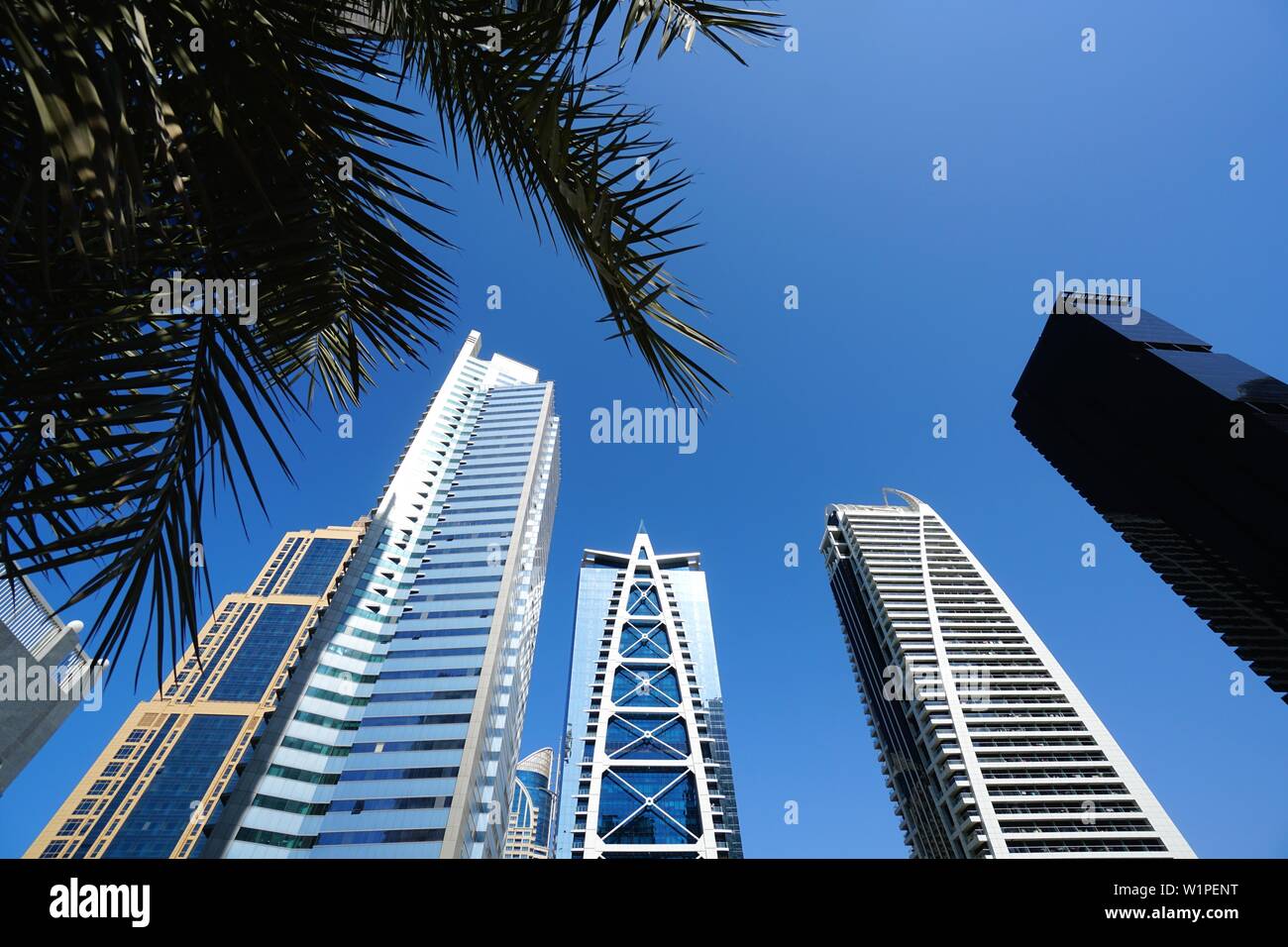 Palm, Architettura, Grattacielo e Dubai Marina, Dubai, Emirati Arabi Uniti, Emirati Arabi Uniti Foto Stock