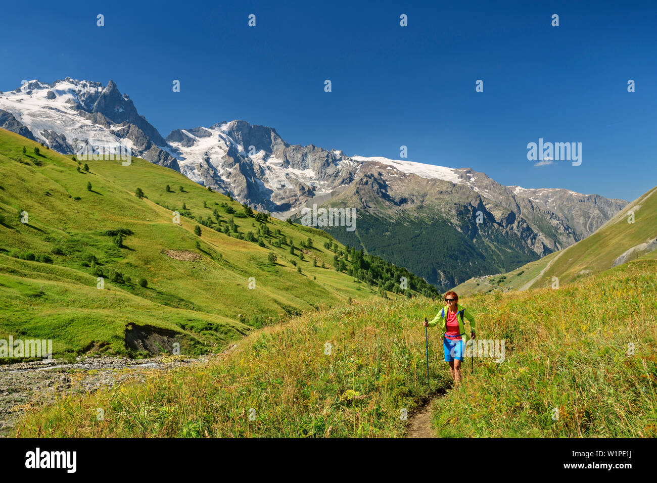 Donna escursionismo sul percorso attraverso il prato con vista verso la Meije nella regione di Ecrins, Parco Nazionale degli Ecrins, Dauphine, Dauphiné, Hautes Alpes, Francia Foto Stock