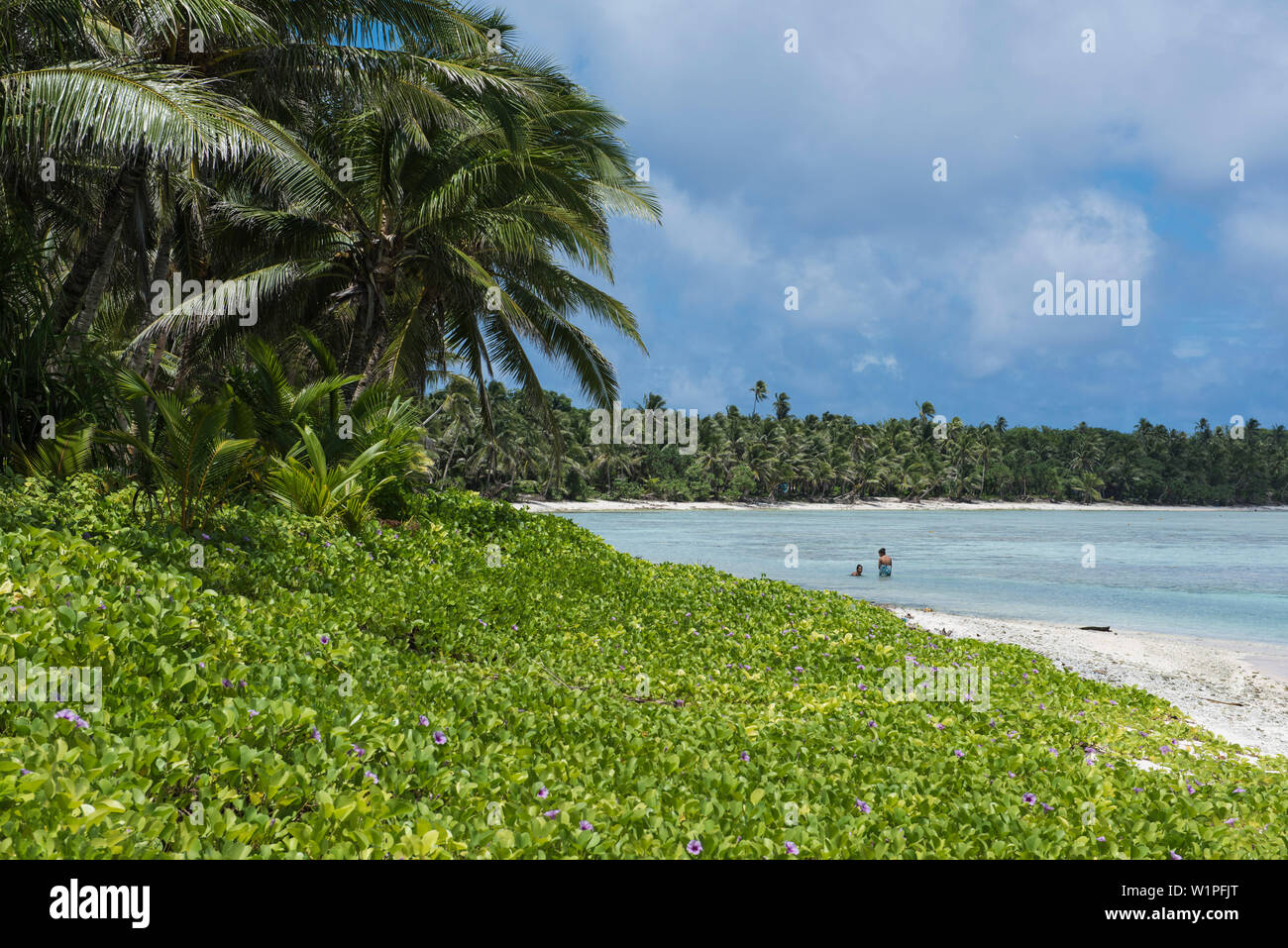 Due donne nuotare nelle limpide acque tropicali, coperte di palme isola, Ulul Isola, Chuuk, Stati Federati di Micronesia, Sud Pacifico Foto Stock