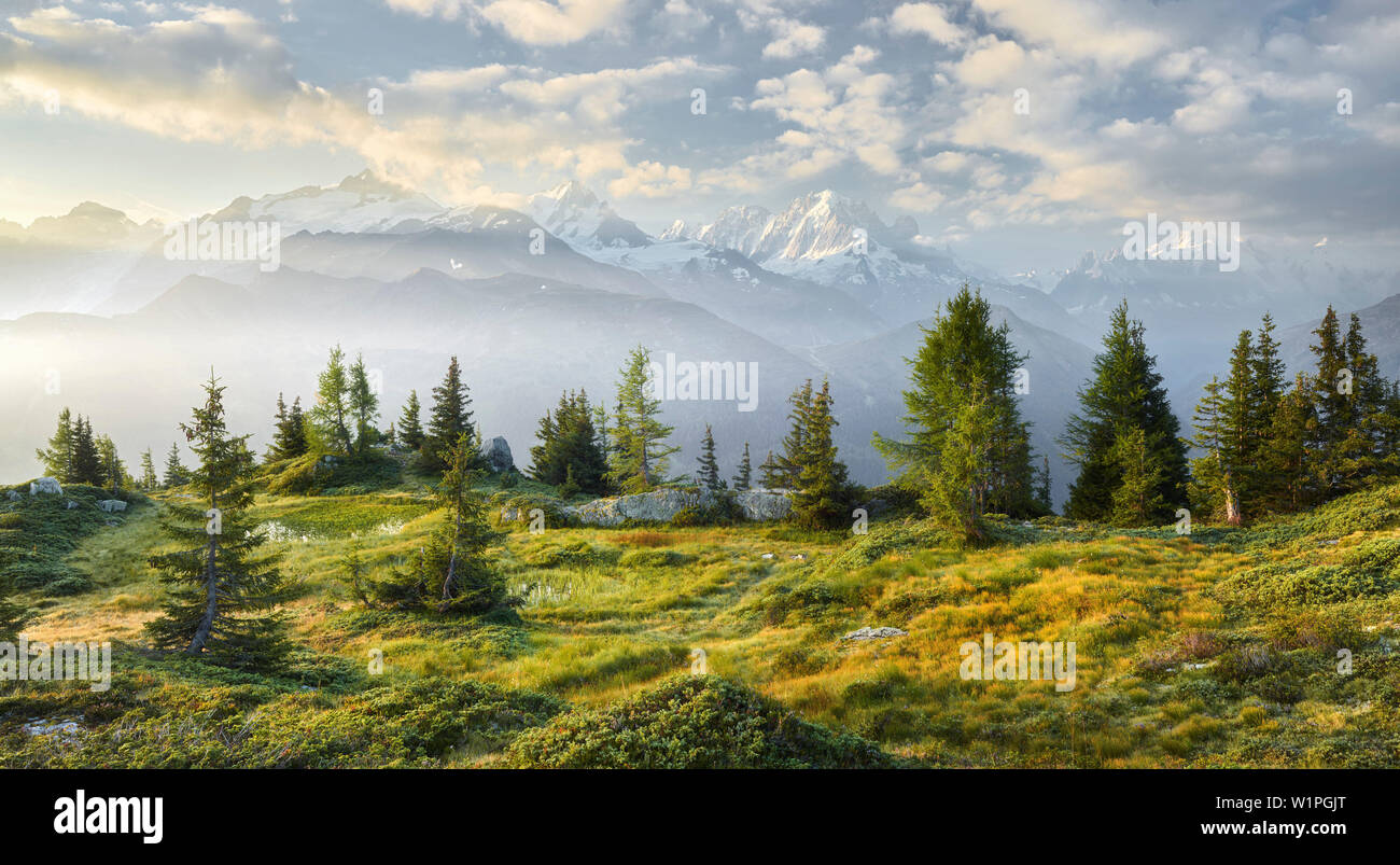 Émosson, Wallis, Schweiz (Vordergrund), Aiguille Verte, Haute-Savoie, Frankreich (Hintergrund) Foto Stock