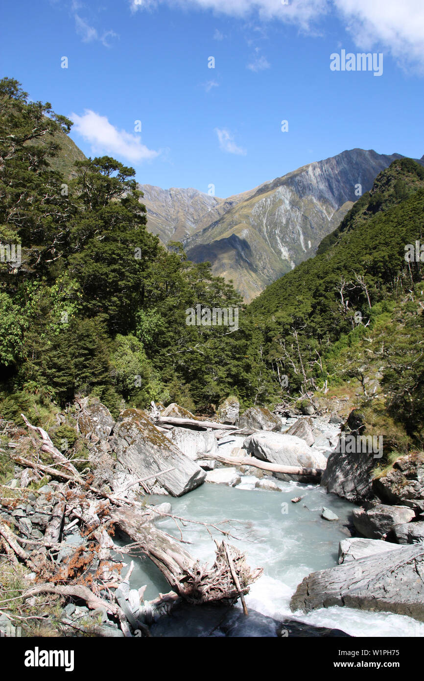 Nuova Zelanda - montagne del Monte aspiranti Parco Nazionale Foto Stock