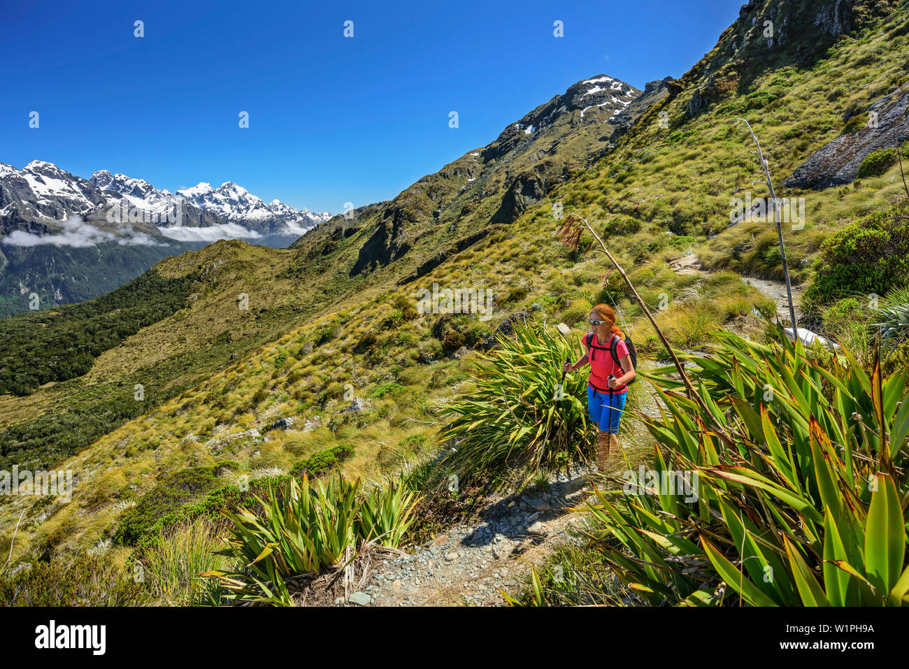 Donna escursionismo su Routeburn via con il Sud delle Alpi in background, Routeburn Track, grande passeggiate, Parco Nazionale di Fiordland, UNESCO Welterbe Te Wahipounam Foto Stock