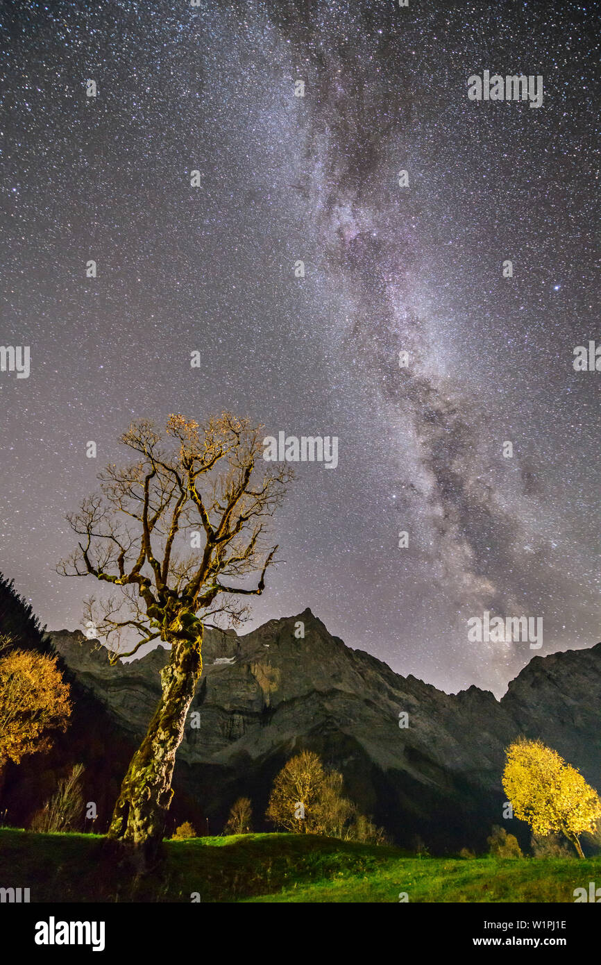 Nightsky con via lattea al di sopra di acero e gamma di Karwendel, Grosser Ahornboden, Eng, parco naturale Karwendel, gamma Karwendel, Tirolo, Austria Foto Stock