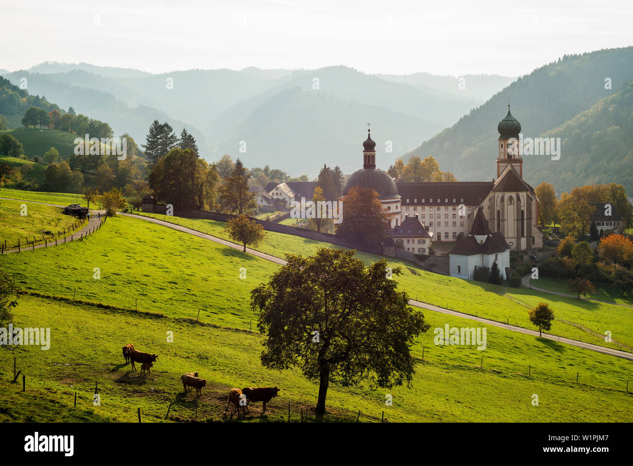 San Trudpert's Abbey in autunno, Kloster San Trudpert, monastero Benedettino Münstertal, Foresta Nera, Baden-Württemberg, Germania Foto Stock