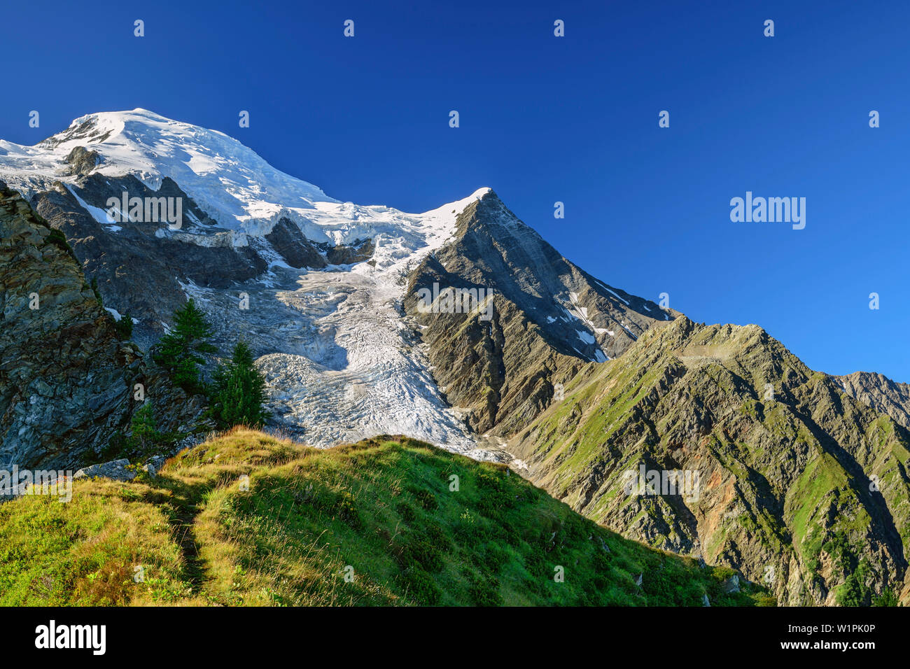 Puntato indietro con Mont Blanc in background, piramide, Mont Blanc, Grajische Alpi, alle Alpi della Savoia, Savoie, Francia Foto Stock