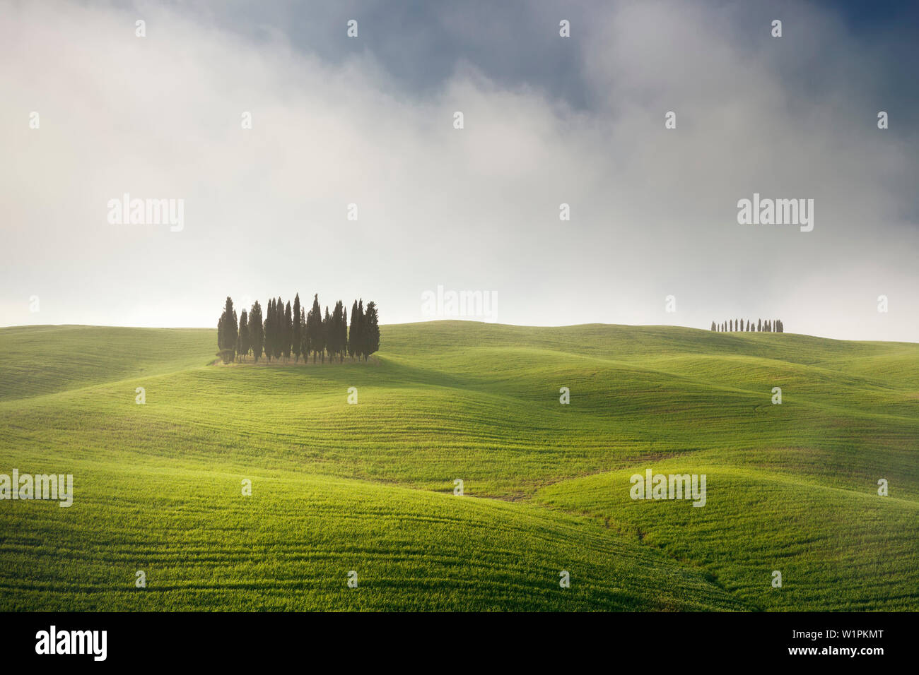 Colline Toscane della Val d'Orcia con Cypress Grove nel sole di mattina con la nebbia in primavera, San Quirico d'Orcia, Toscana, Italia Foto Stock