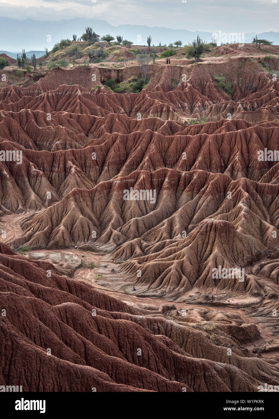 Paesaggio surreale a Tatacoa desert (Desierto de la Tatacoa), township Villavieja vicino a Neiva, Departmento Huila, Colombia, Southamerica Foto Stock