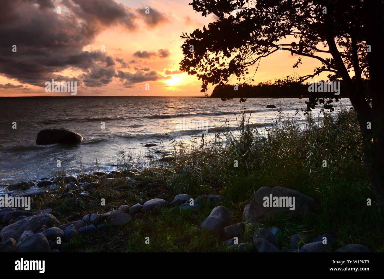 Tramonto, Lahemaa National Park, Estonia Foto Stock