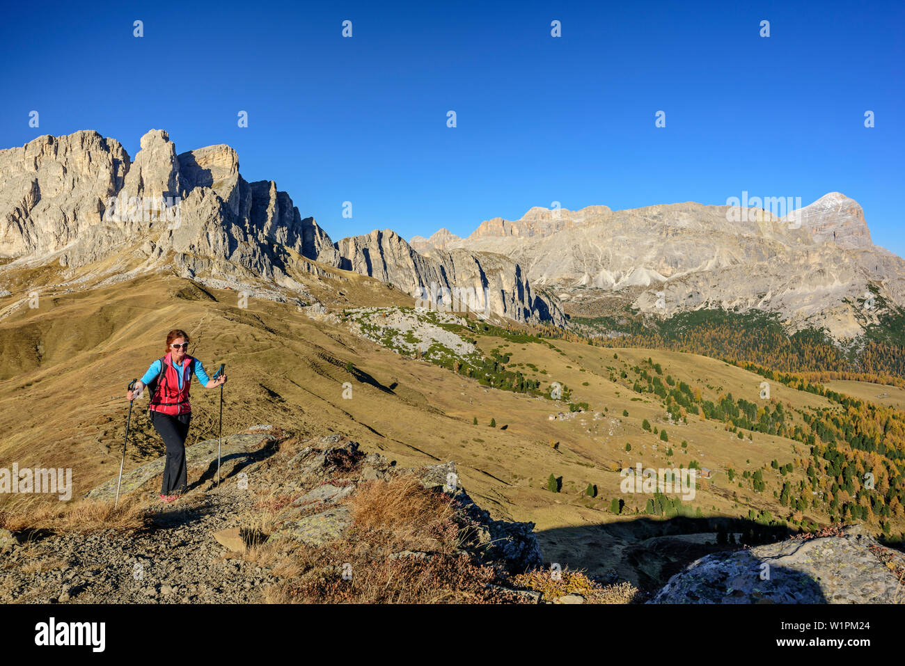 Donna escursionismo salendo verso il Col di Lana, Setsass e Tofana in background, Col di Lana, Dolomiti, patrimonio mondiale dell UNESCO Dolomiti, Veneto, ho Foto Stock