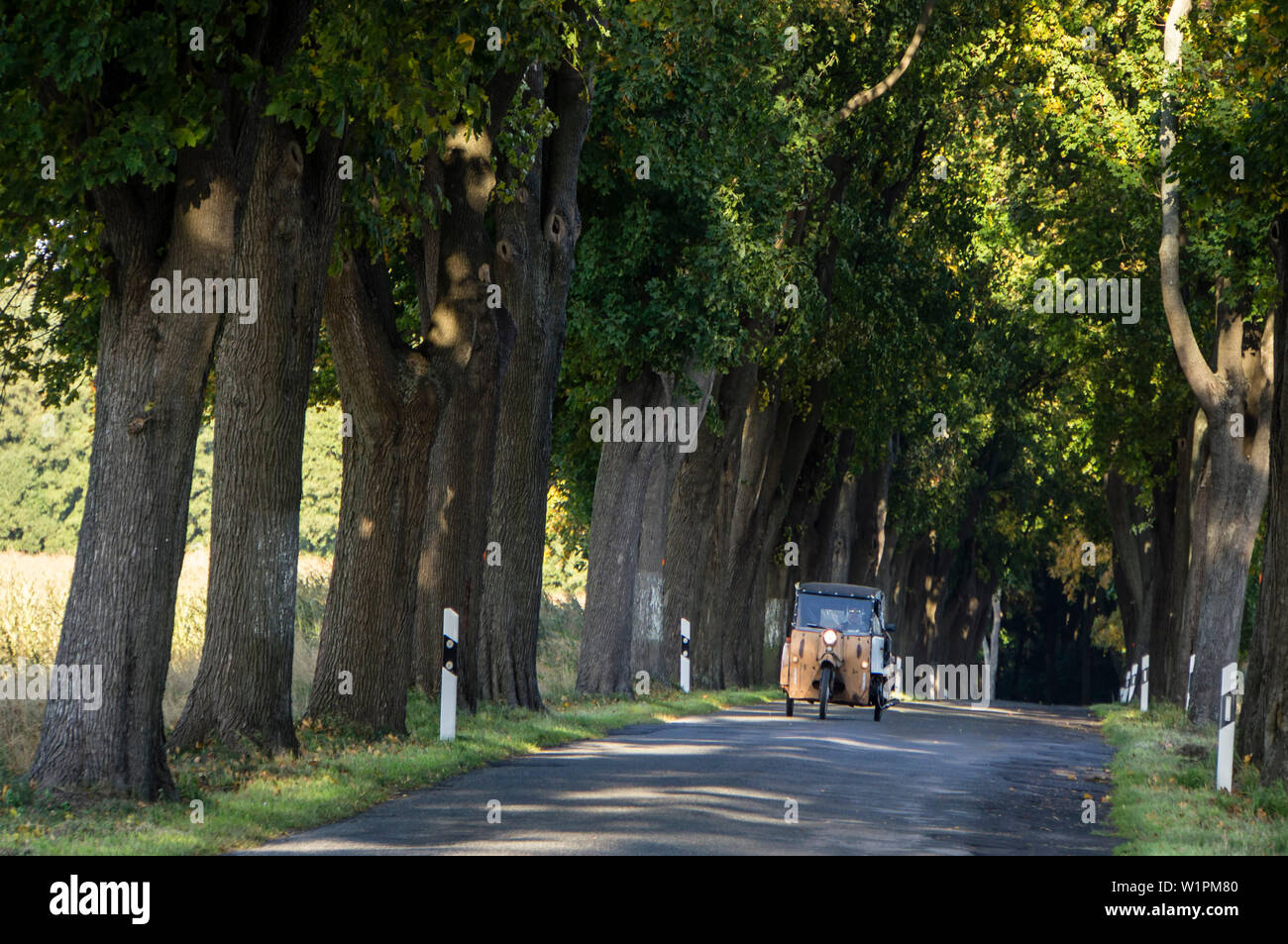 Vicolo di acero con la vecchia DDR tre wheeler, Ruedniz, Brandeburgo, Germania Foto Stock