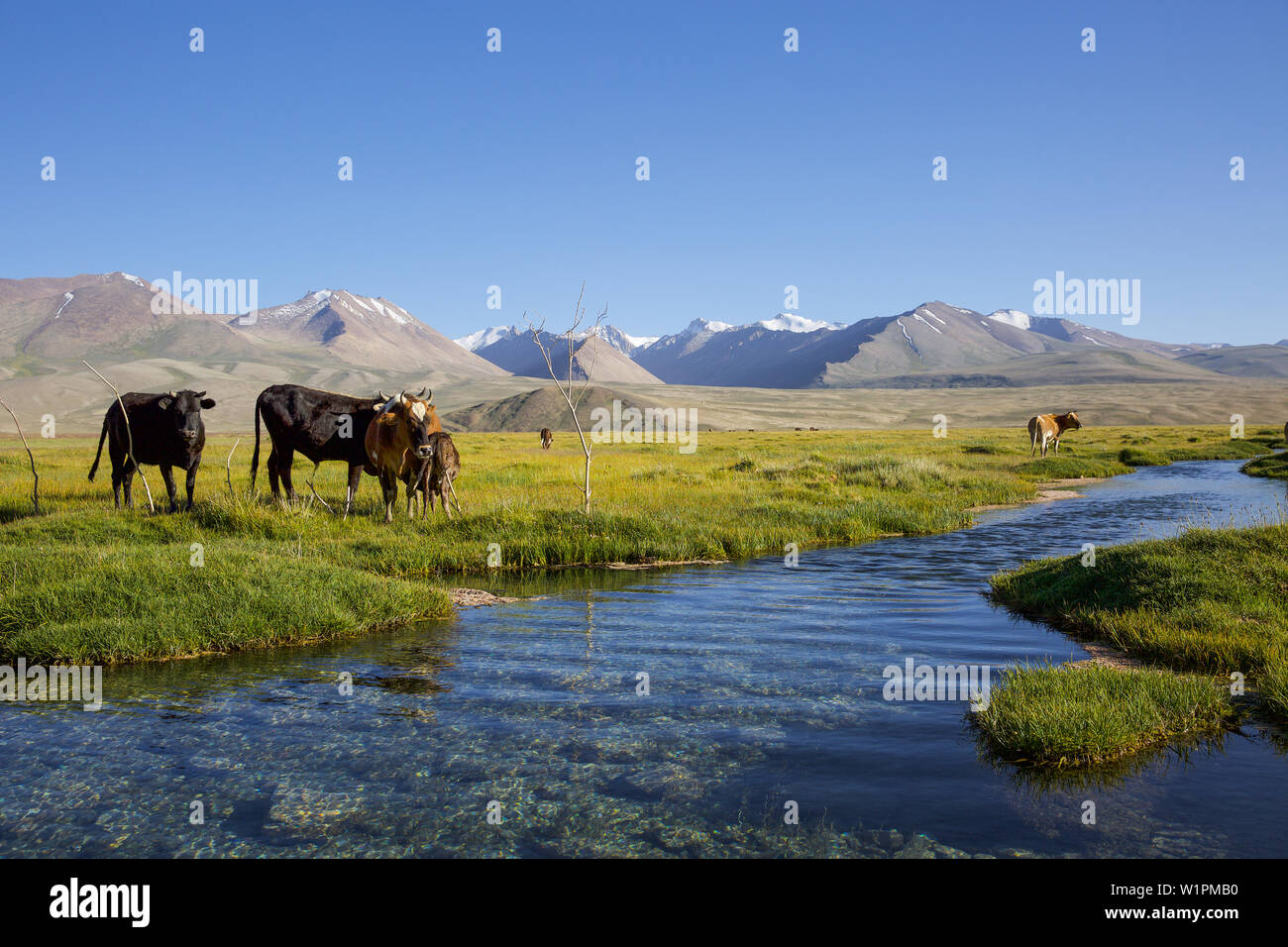 Il lago Santo Ak Balyk, in Tagikistan, in Asia Foto Stock