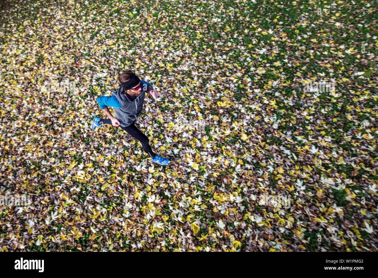 Giovane uomo che corre su un prato coperto di foglie, Allgaeu, Baviera, Germania Foto Stock