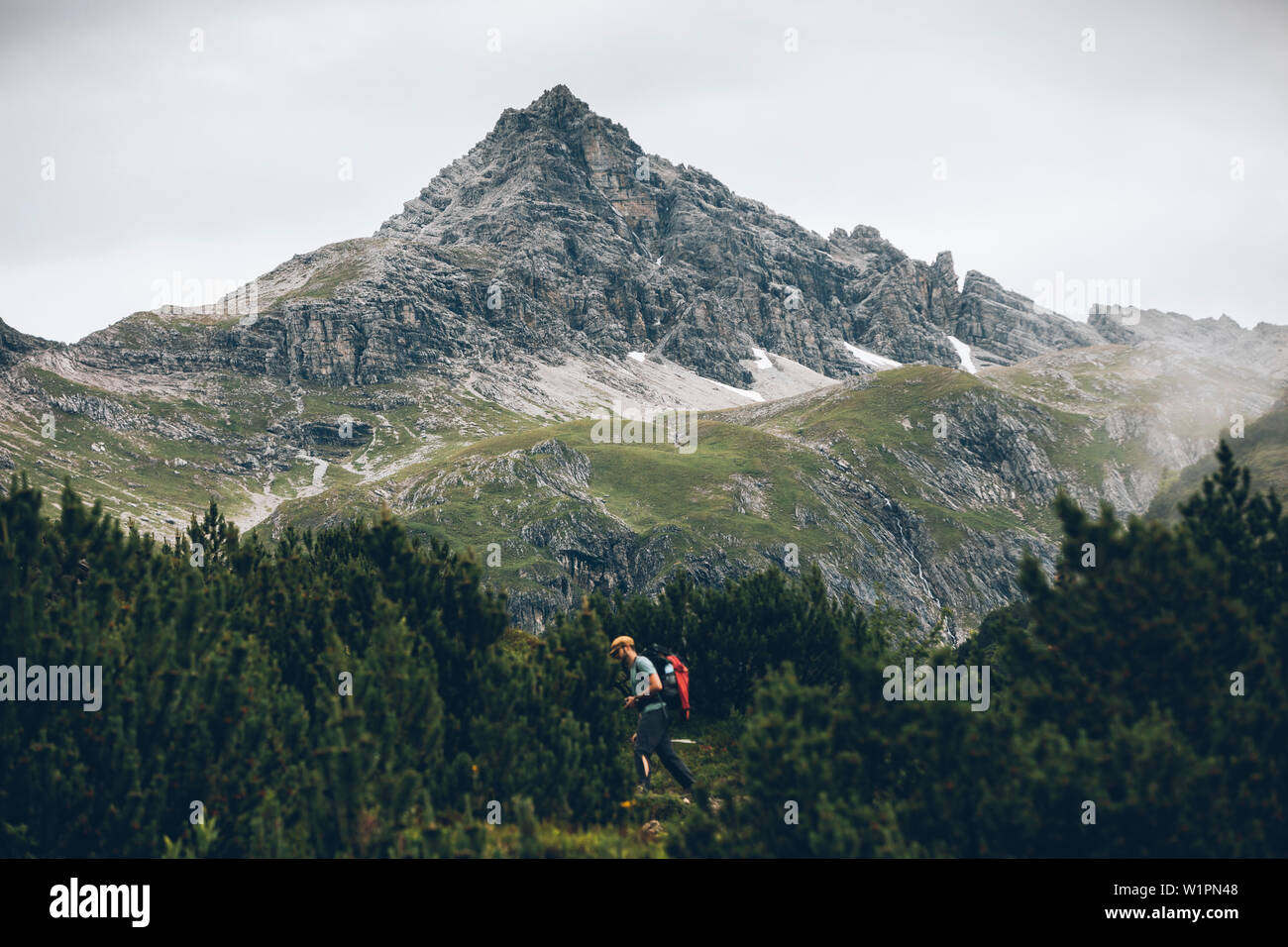 Escursionista sbanda attraverso trappole con un picco in background, E5, Alpenüberquerung, seconda fase, Lechtal, Kemptner Hütte a Memminger Hütte, Tirolo, Austria Foto Stock