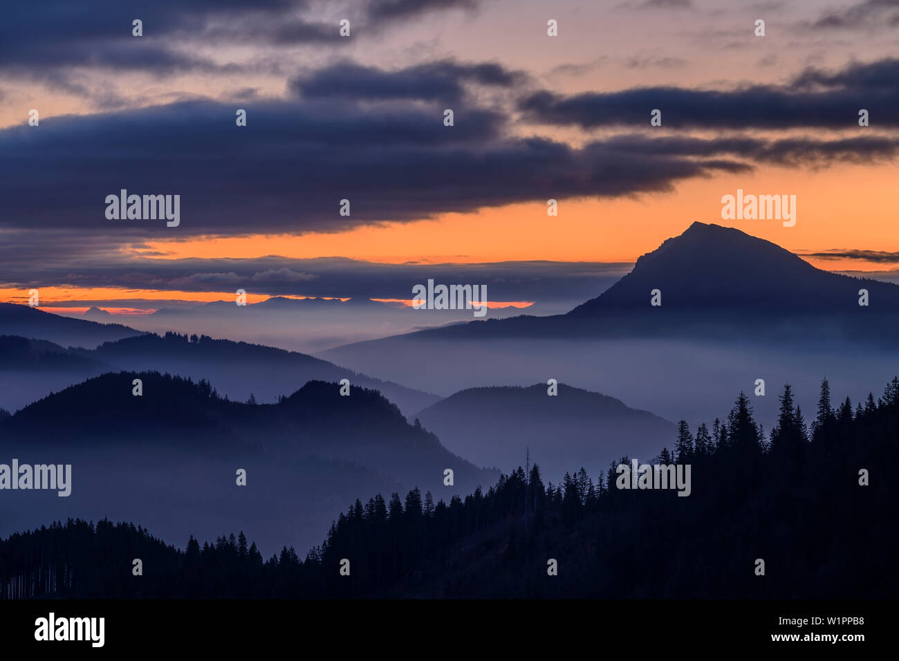Sagome di Zwiesel e Alpi di Chiemgau all'alba, da Hochfelln, Chiemgau Alpi, Alta Baviera, Baviera, Germania Foto Stock