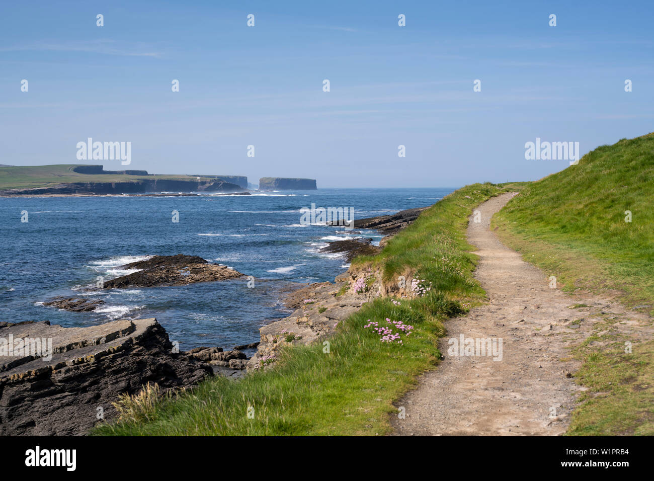 Sentiero per Georges testa lungo le scogliere di Kilkee affacciato sulla costa, Byrnes Cove, Kilkee, County Clare, Irlanda, Europa Foto Stock