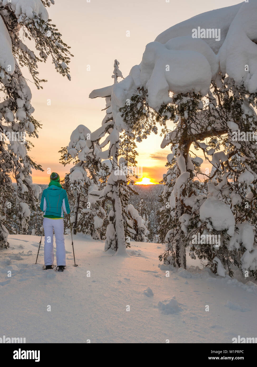 Escursione con le racchette da neve sulle colline incontaminate in Pyhä-Luosto National Park, la Lapponia finlandese Foto Stock