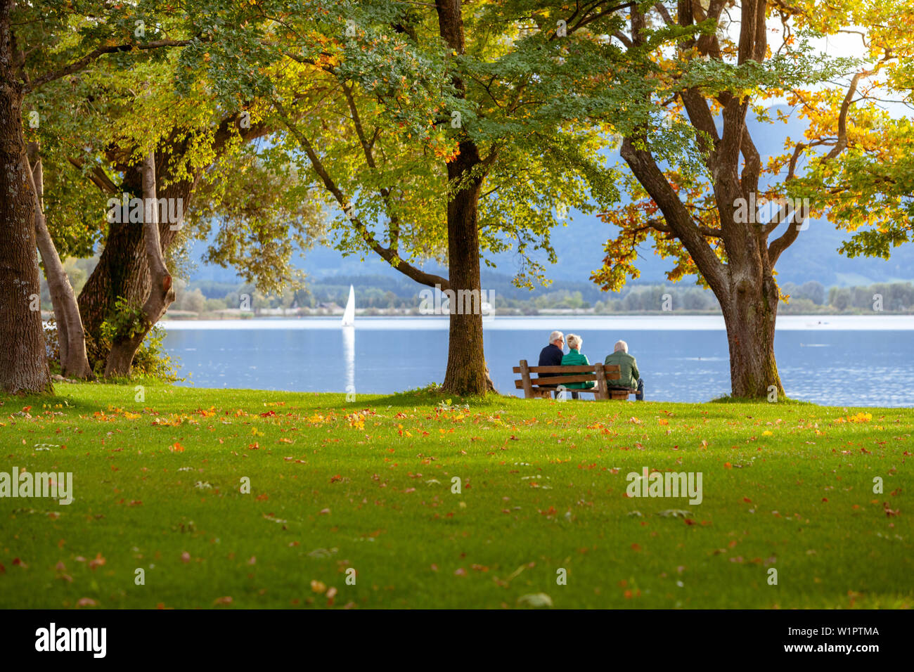 Tre persone anziane seduto sotto grandi alberi su una panchina nel parco e si affacciano sul lago Chiemsee Foto Stock