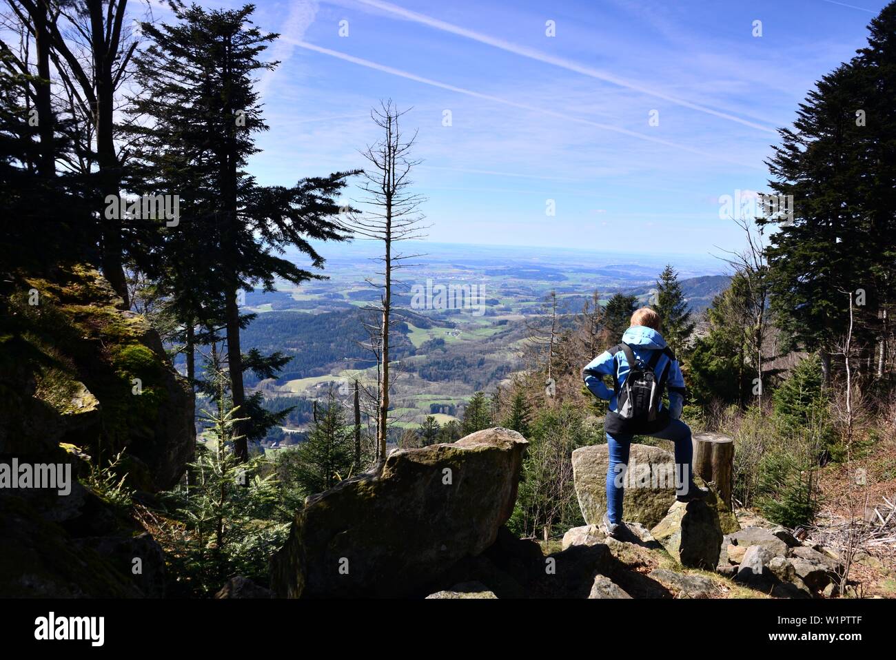 Escursioni a Vogelsang vicino Gotteszell, foresta bavarese, Eastern-Bavaria, Baviera, Germania Foto Stock