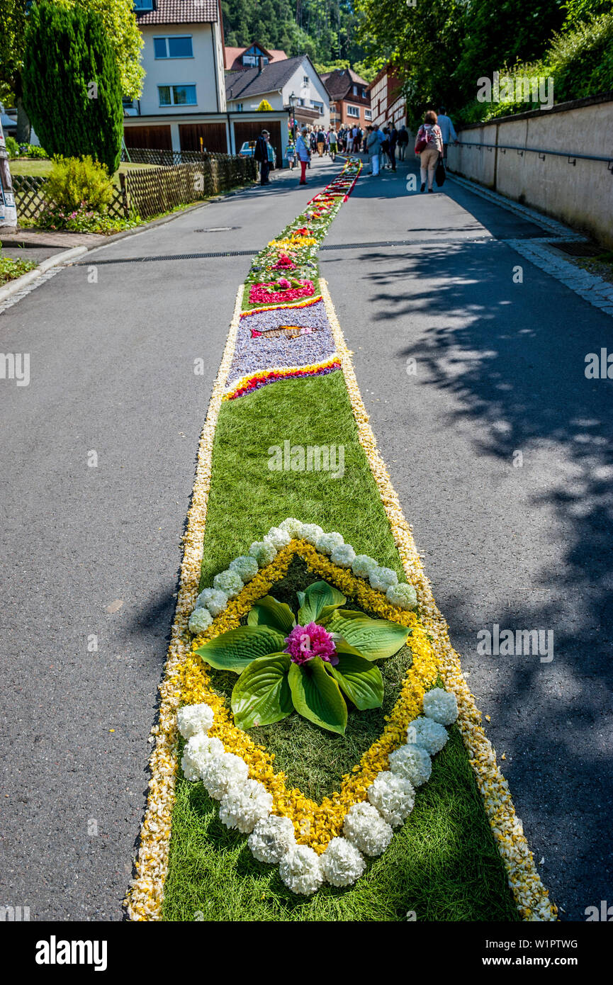 Il Corpus Domini, la festa della processione del Corpus Domini, tappeto di fiori, Sipplingen, Lago di Costanza, Baden-Wuerttemberg, Germania, Europa Foto Stock