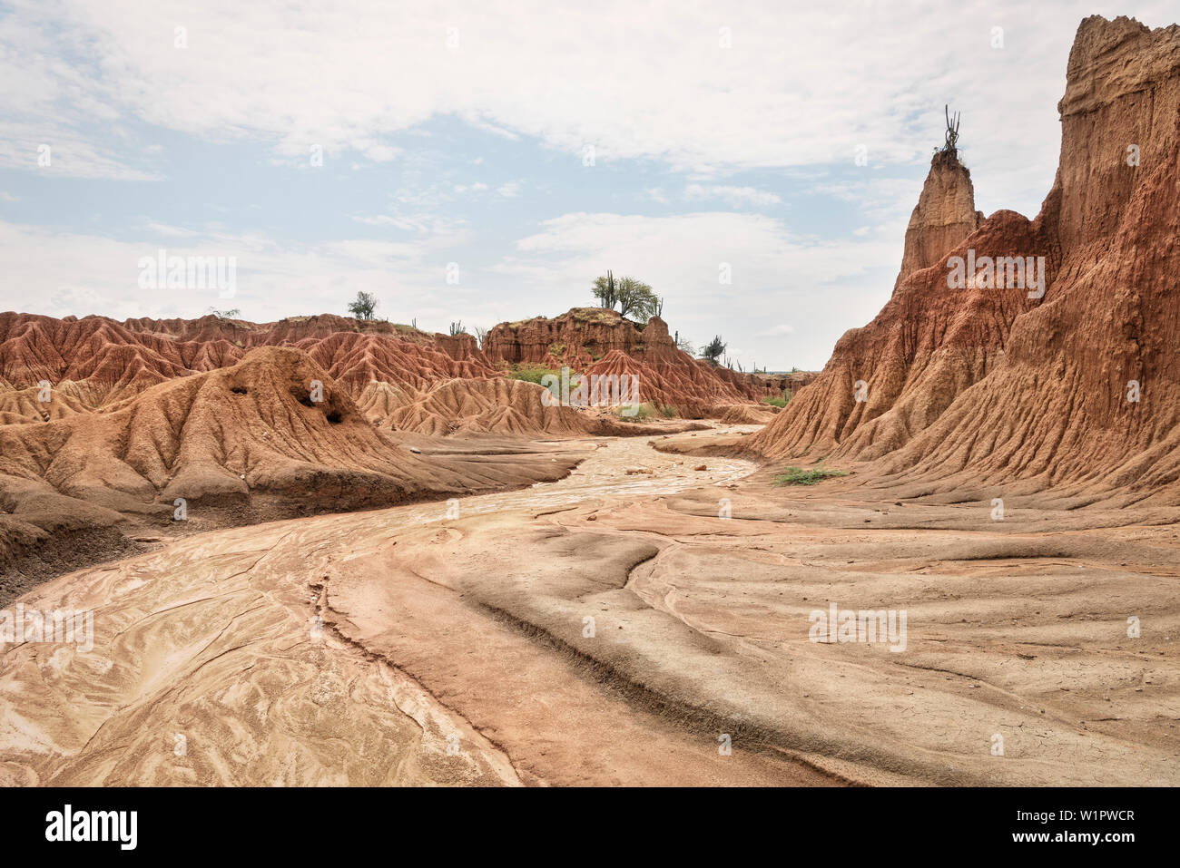 Paesaggio surreale a Tatacoa desert (Desierto de la Tatacoa), township Villavieja vicino a Neiva, Departmento Huila, Colombia, Southamerica Foto Stock