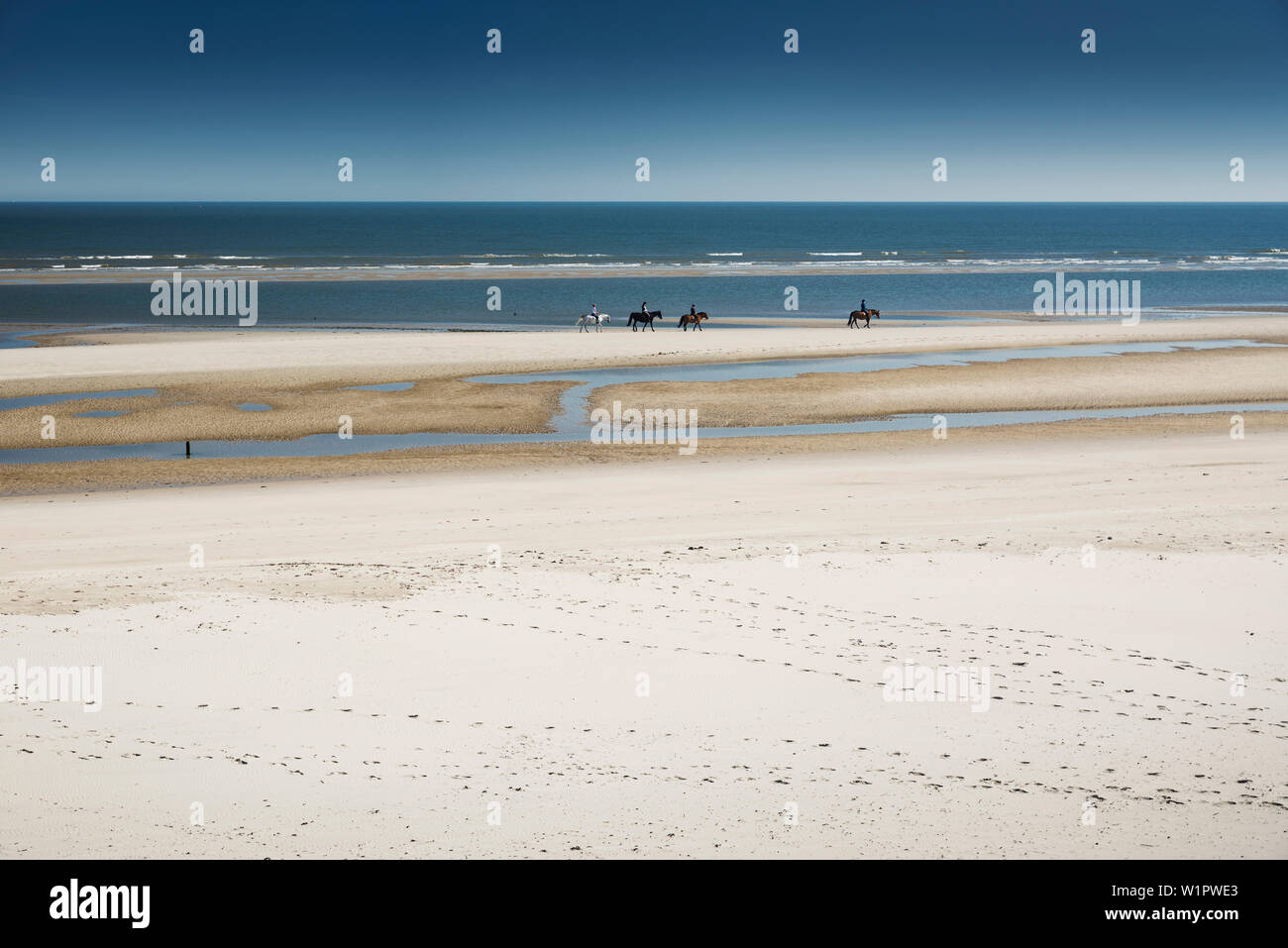 Spiaggia, cavalli, equestrians, Mare del Nord, Wangerooge, Est Isole Frisone, Friesland - Distretto, Bassa Sassonia, Germania, Europa Foto Stock