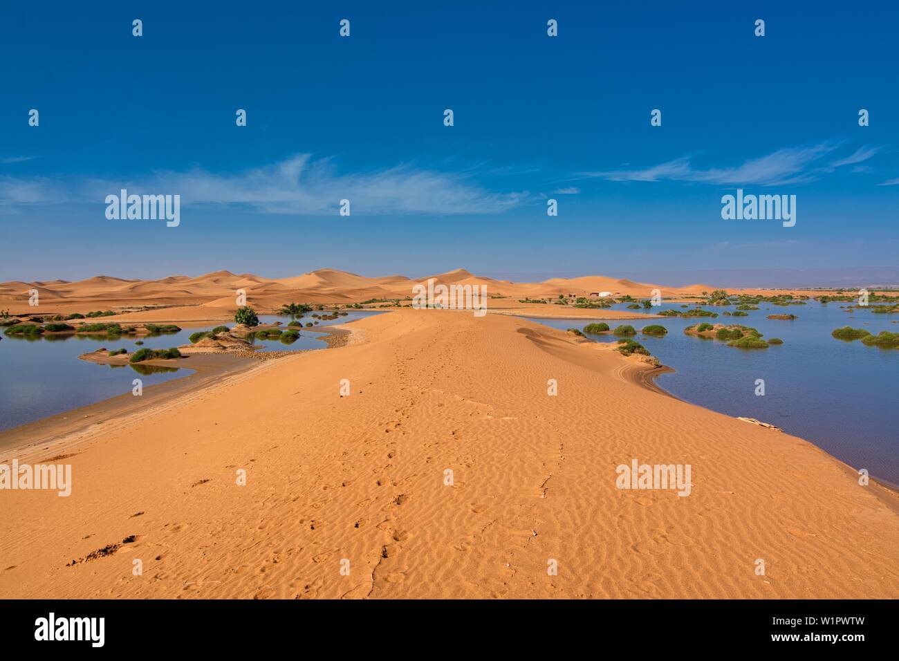 Rare lago temporaneo nel deserto, Erg Chegaga, Sahara, Marocco Foto Stock