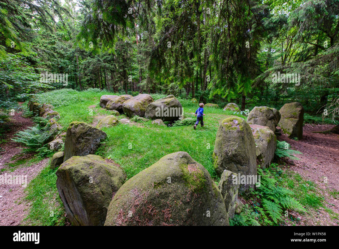 Tombe megalitiche nella foresta Everstorf, Klützer Winkel, Ostseeküste, Meclemburgo-Pomerania, Germania Foto Stock